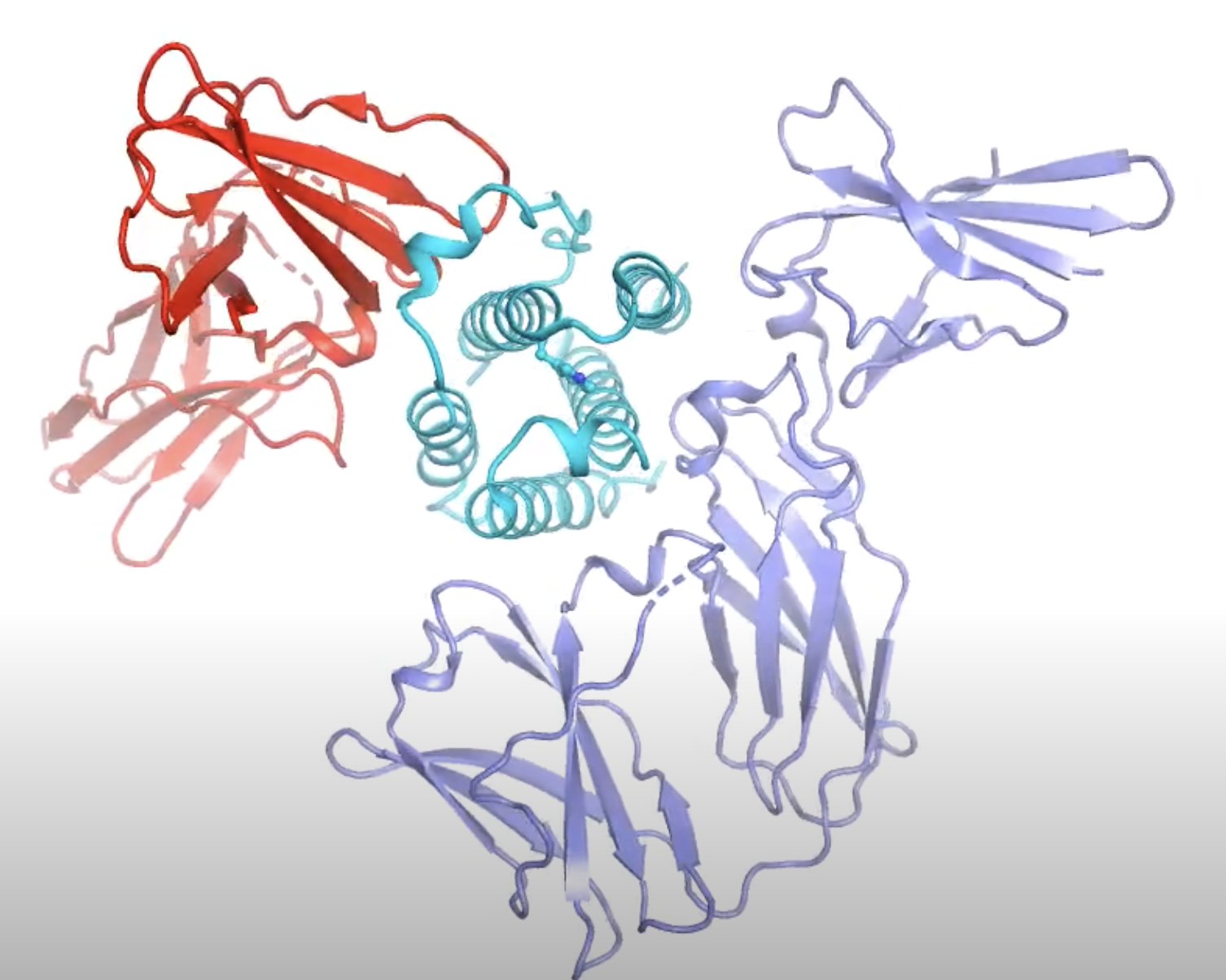 Whole genome sequencing reveals host factors underlying critical Covid-19