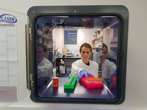 Photograph of a scientist passing racked samples through an access hatch
